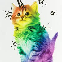 05 Shiny Cat