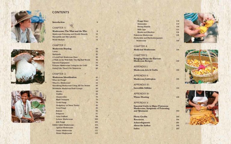 The Complete Mushroom Hunter Guide - Foraging, Identifying & Cooking Wild Mushrooms | Perfect for Outdoor Enthusiasts & Nature Lovers