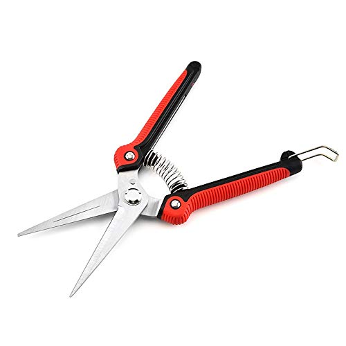 Stainless Steel Garden Pruning Shears - Professional Gardening Scissors for Trimming Trees, Flowers & Branches | Heavy Duty Plant Trimmer Tool for Home Gardeners & Landscaping Use