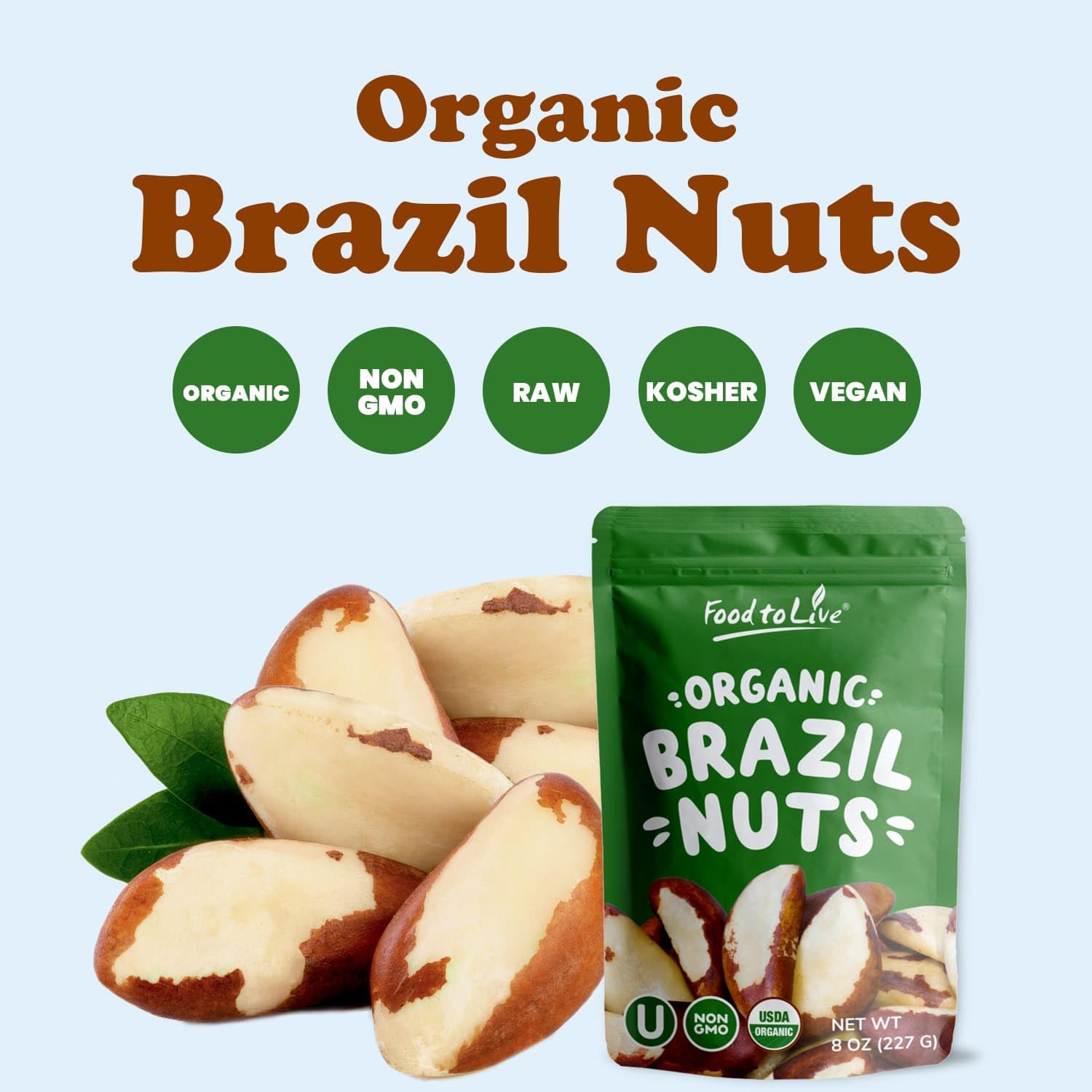 Organic Brazil Nuts 12 Pounds - Raw, Whole, No Shell, Non-GMO, Unsalted, Kosher, Vegan, Keto & Paleo Friendly - Bulk Snacks, Trail Mix Ingredient - Rich in Selenium - Perfect for Healthy Snacking, Baking & Energy Boosting