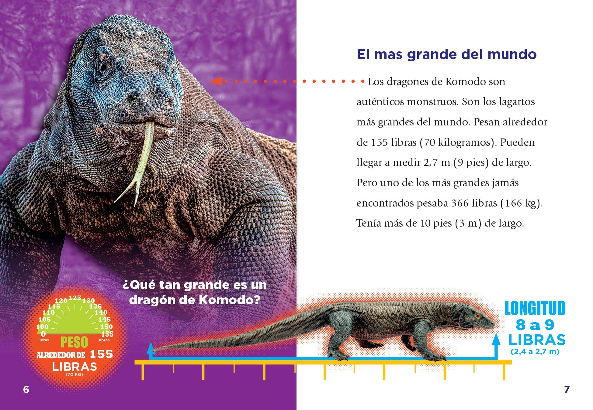 Komodo Dragons - Authentic Indonesian Reptile Figurine for Collectors & Home Decor | Perfect for Gifts, Display & Educational Use