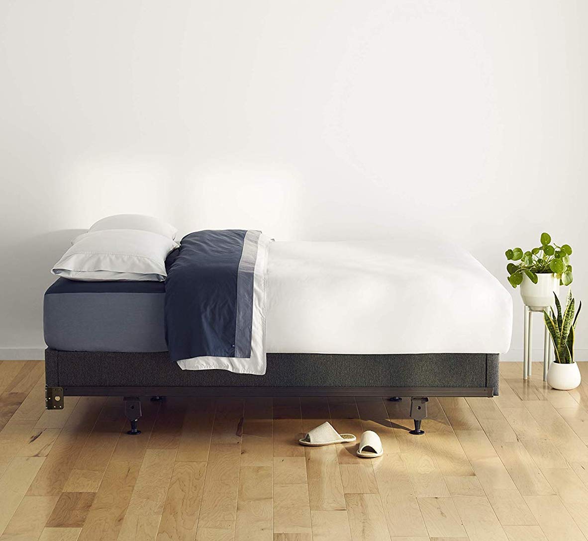 Casper Sleep Box Spring Foundation for Twin XL Mattress - Premium Bed Support with Noise Reduction, Ideal for Dorm Rooms & Small Spaces
