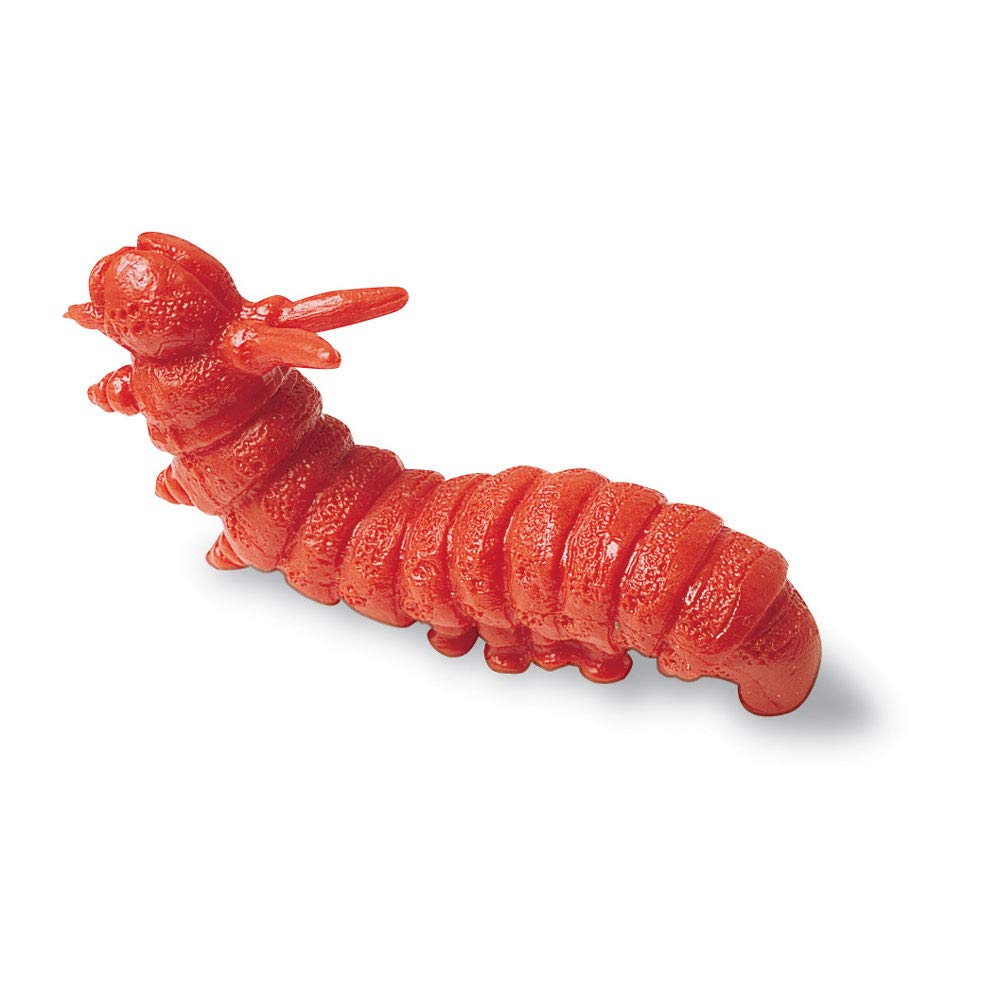 Learning Resources Backyard Bugs Counters - 72 Piece Educational Counting & Sorting Toys for Toddlers & Preschoolers Ages 3+, STEM Math Manipulatives for Classroom & Homeschool Learning - Perfect for Counting Games, Sorting Activities & Early Math Skills Development