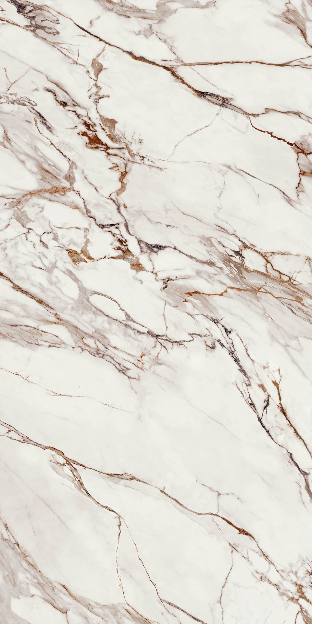 Light Red Calacatta B