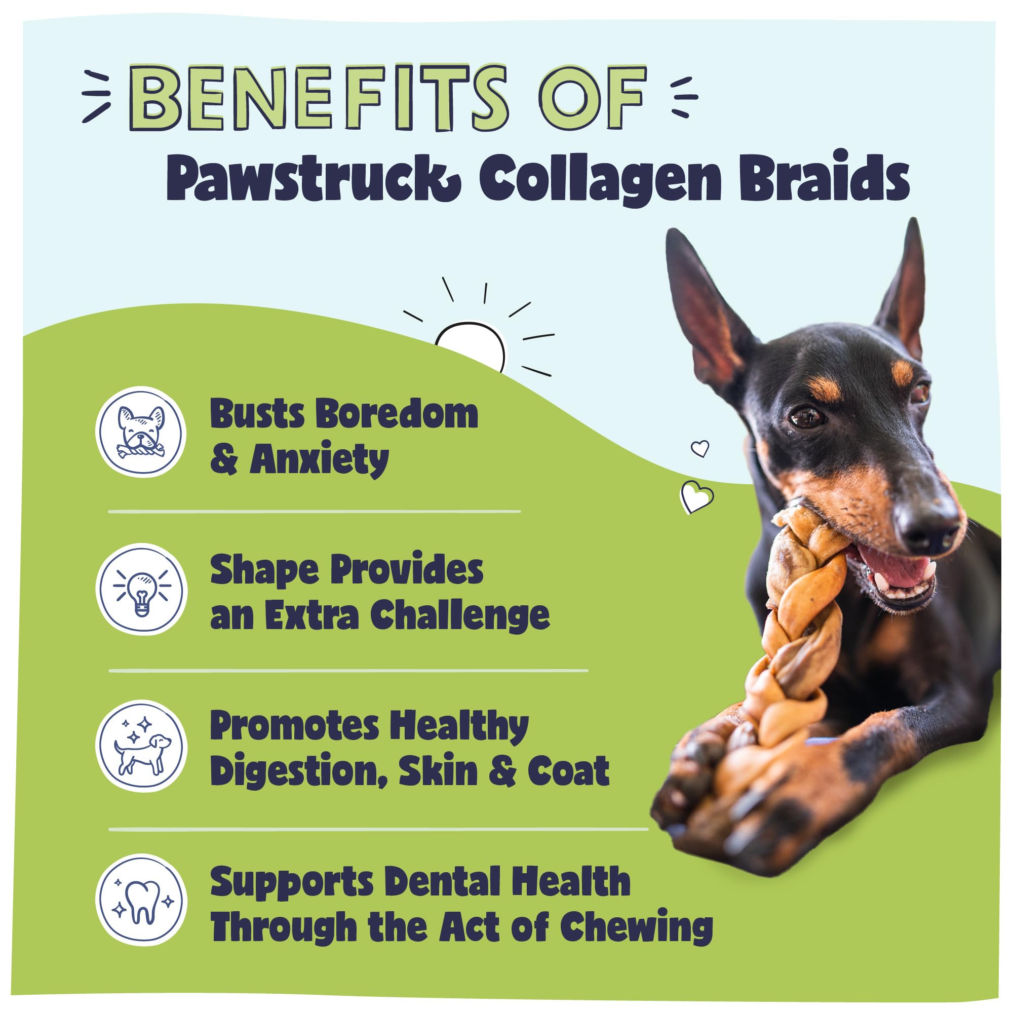 Pawstruck Natural 5-7 Inch Beef Collagen Braids Dog Chews - Long Lasting Rawhide Alternative with Glucosamine & Chondroitin - Healthy Dental Treats for Medium & Large Dogs - 5 Pack - Perfect for Training, Teething & Anxiety Relief