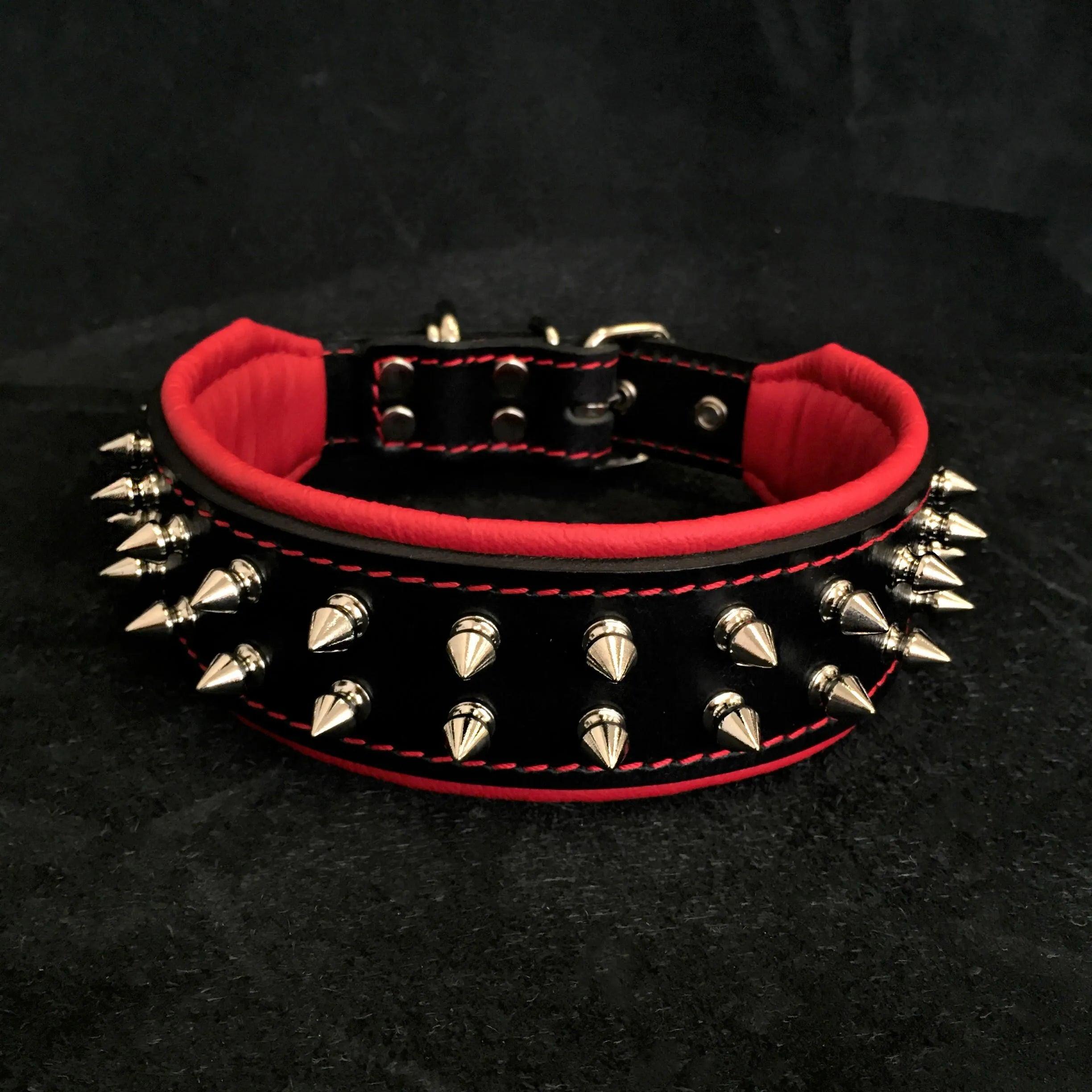 Stylish & Durable Frenchie Collar for French Bulldogs - Perfect for Walks, Training & Everyday Use