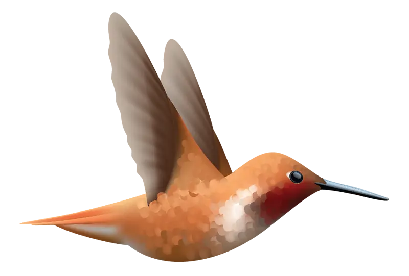 Beautiful Hummingbird Decals - Vibrant Waterproof Vinyl Stickers for Laptops, Phones, Cars & DIY Crafts - Perfect for Home Decor, Scrapbooking & Gift Giving
