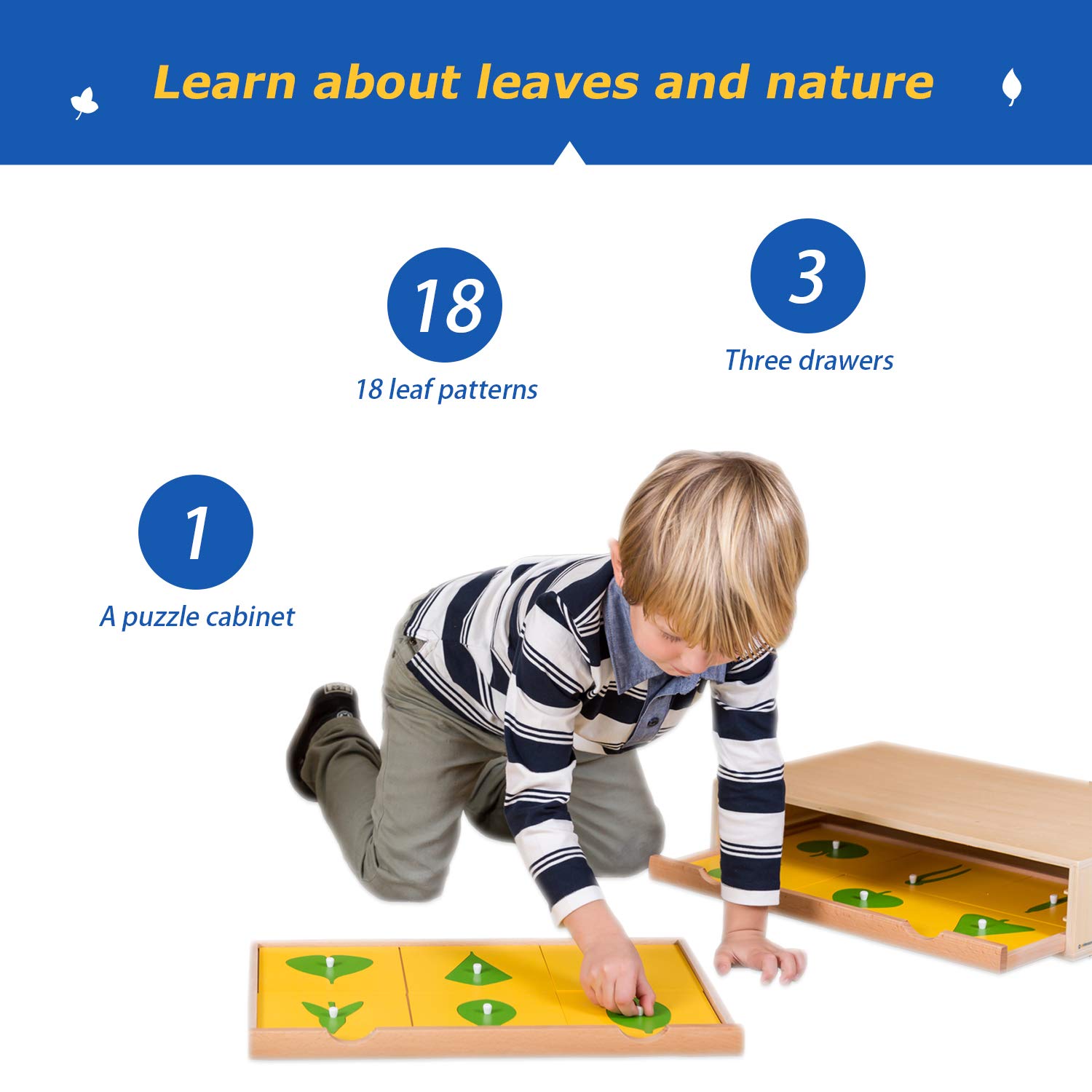 Montessori Botany Cabinet - Wooden Plant Puzzle for Kids, Educational Learning Toy for Preschool Classroom & Homeschool (Perfect for Nature Study, Science Activities)