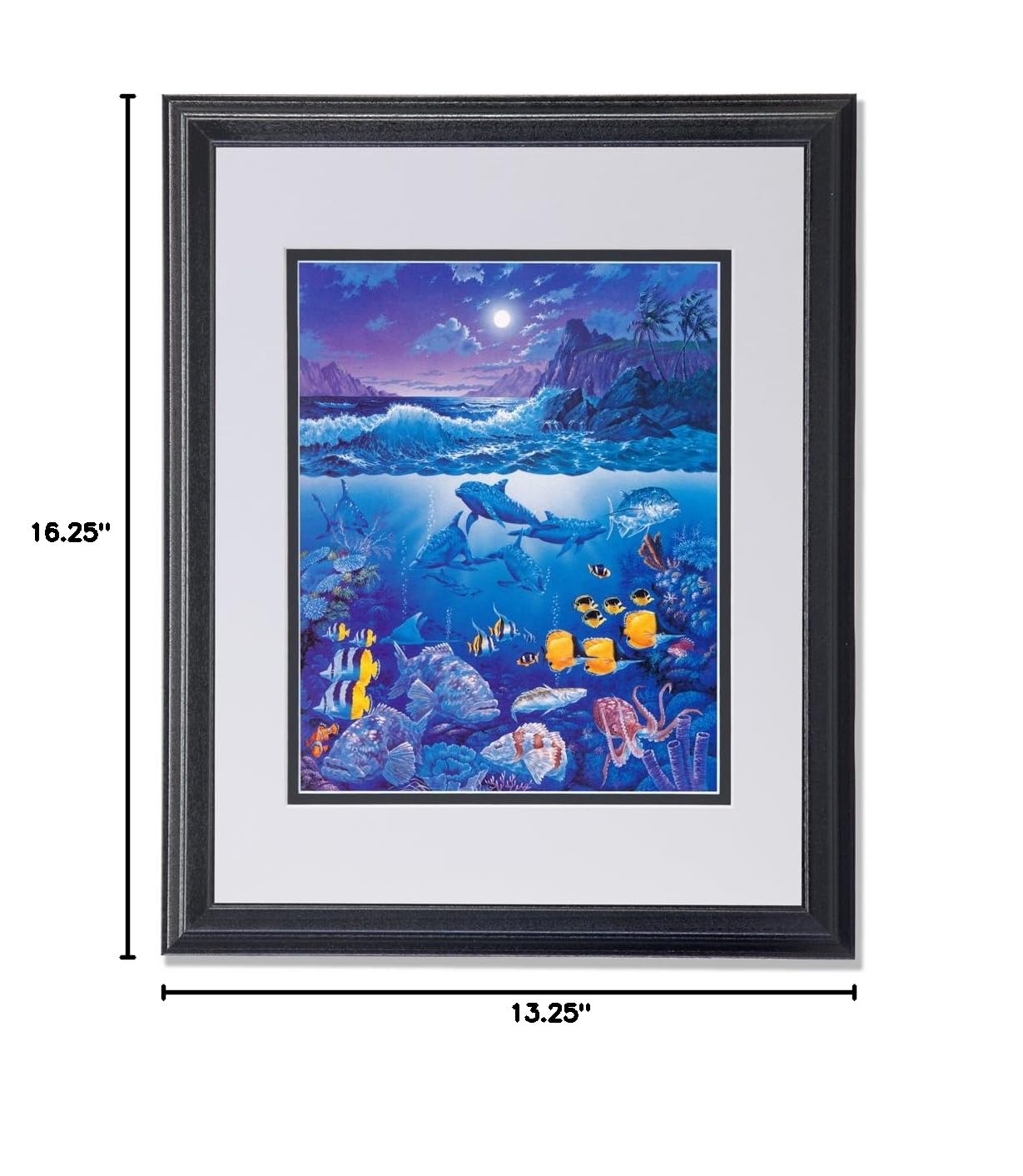 Tropical Ocean Fish Dolphins Shark Coral Reef Wall Art Print - Framed & Matted Underwater Scene Decor for Living Room, Bedroom, or Office