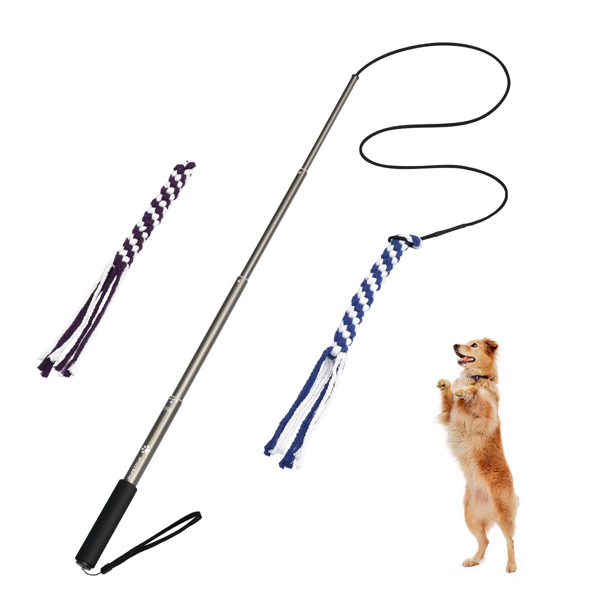 Interactive Dog Toys for Training & Exercise - Extendable Flirt Pole with Teaser Tail for Chasing & Play - Fun Pet Exercise Equipment for Small & Large Dogs (Ideal for Backyard, Park & Indoor Play)