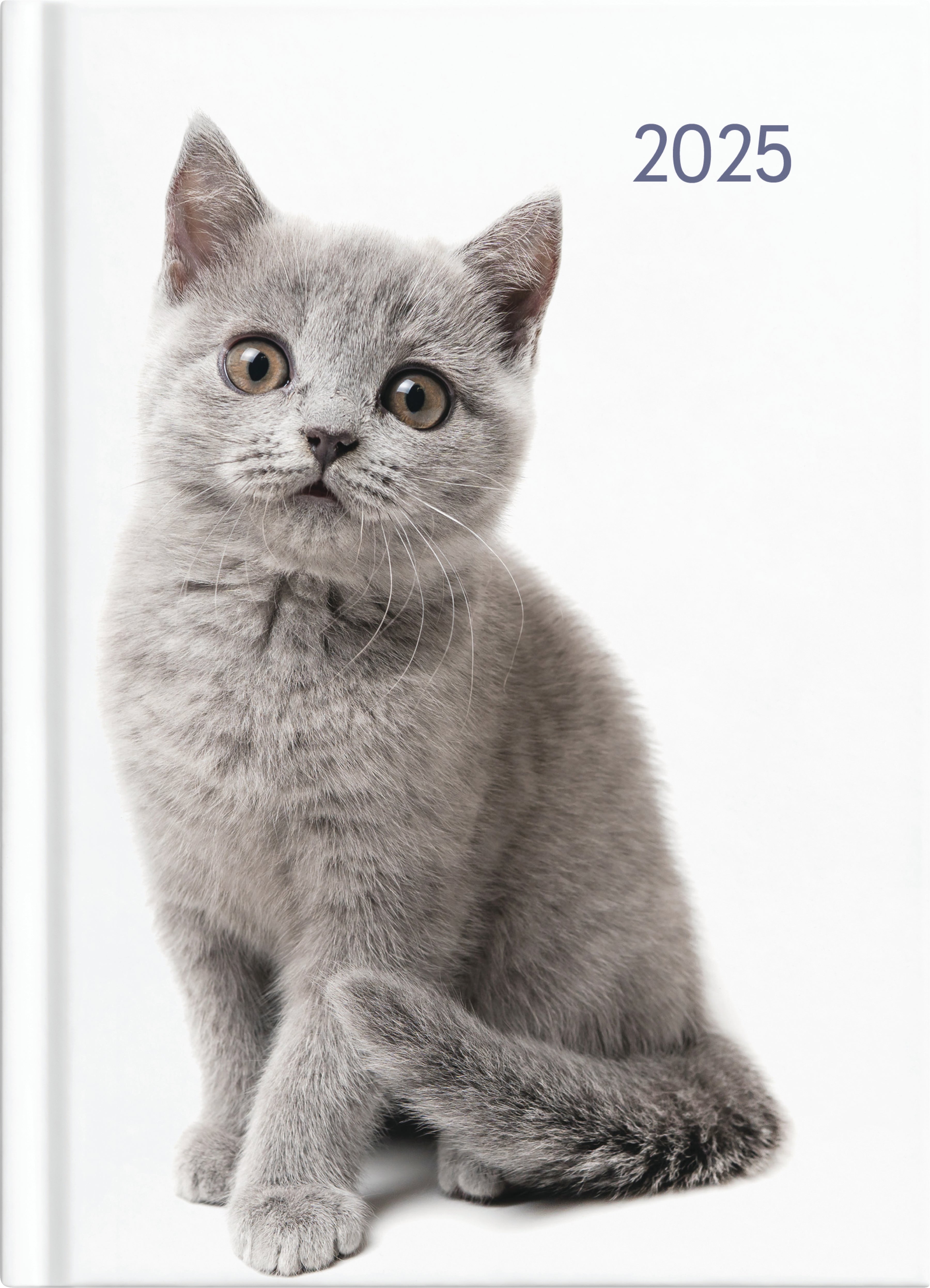 2025 Collins A51 Cats & Dogs Planner - Cute Animal Design Daily Diary, 5.8