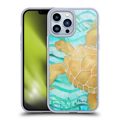 Aurora Turtle
