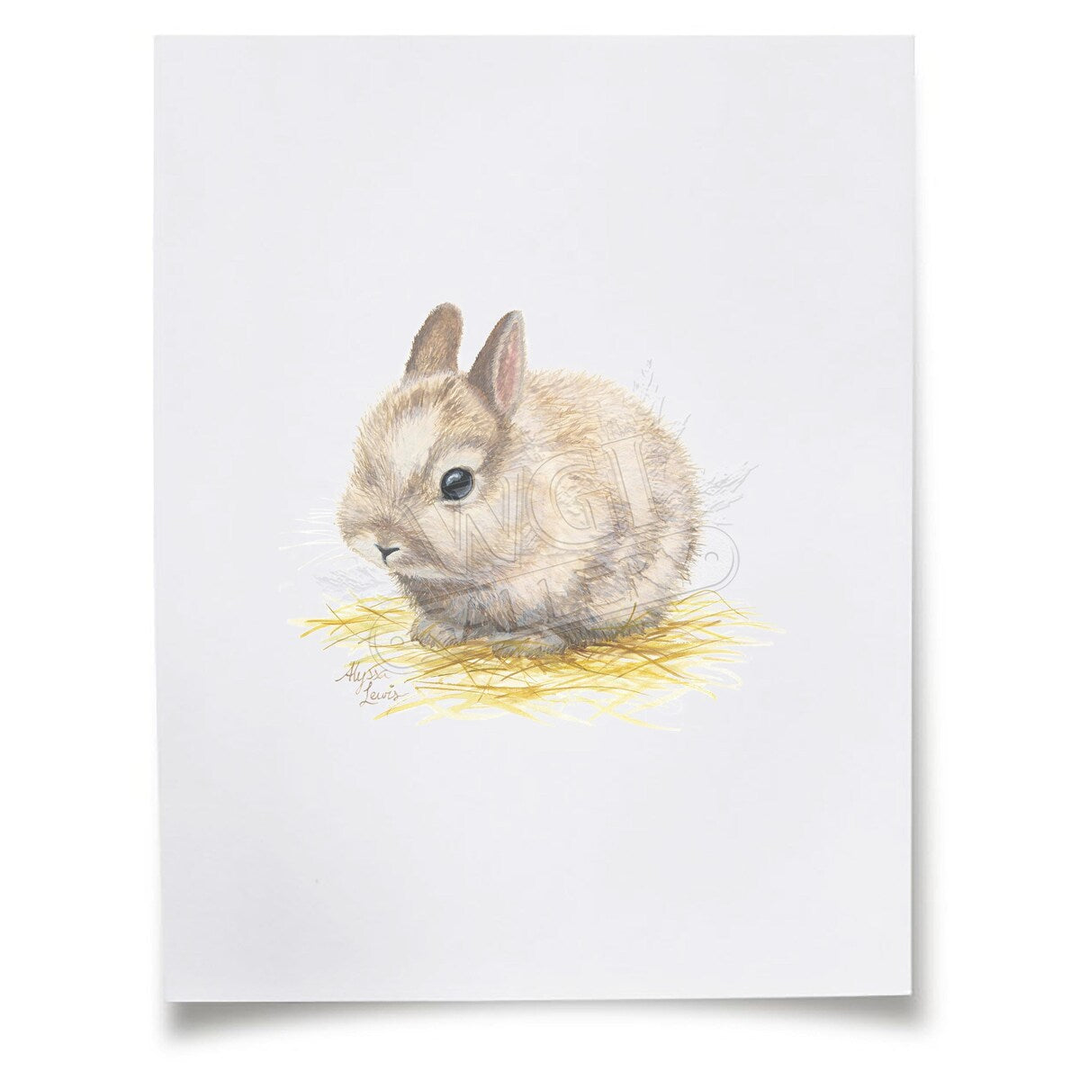 Barnyard Littles Bunny Paper Print - Unframed 5x7 Wall Art Decor - Perfect for Nursery, Kids Room & Home Decor
