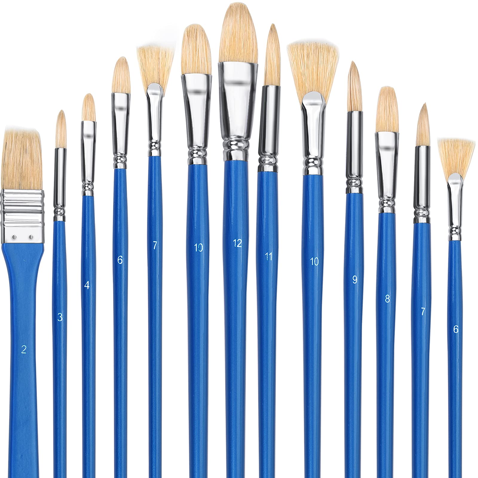 13-Piece Artist Paint Brush Set - 100% Natural Hog Bristle Long Handle Brushes for Watercolor, Oil, Acrylic & Gouache Painting | Professional Art Supplies for Canvas & Paper Art Projects