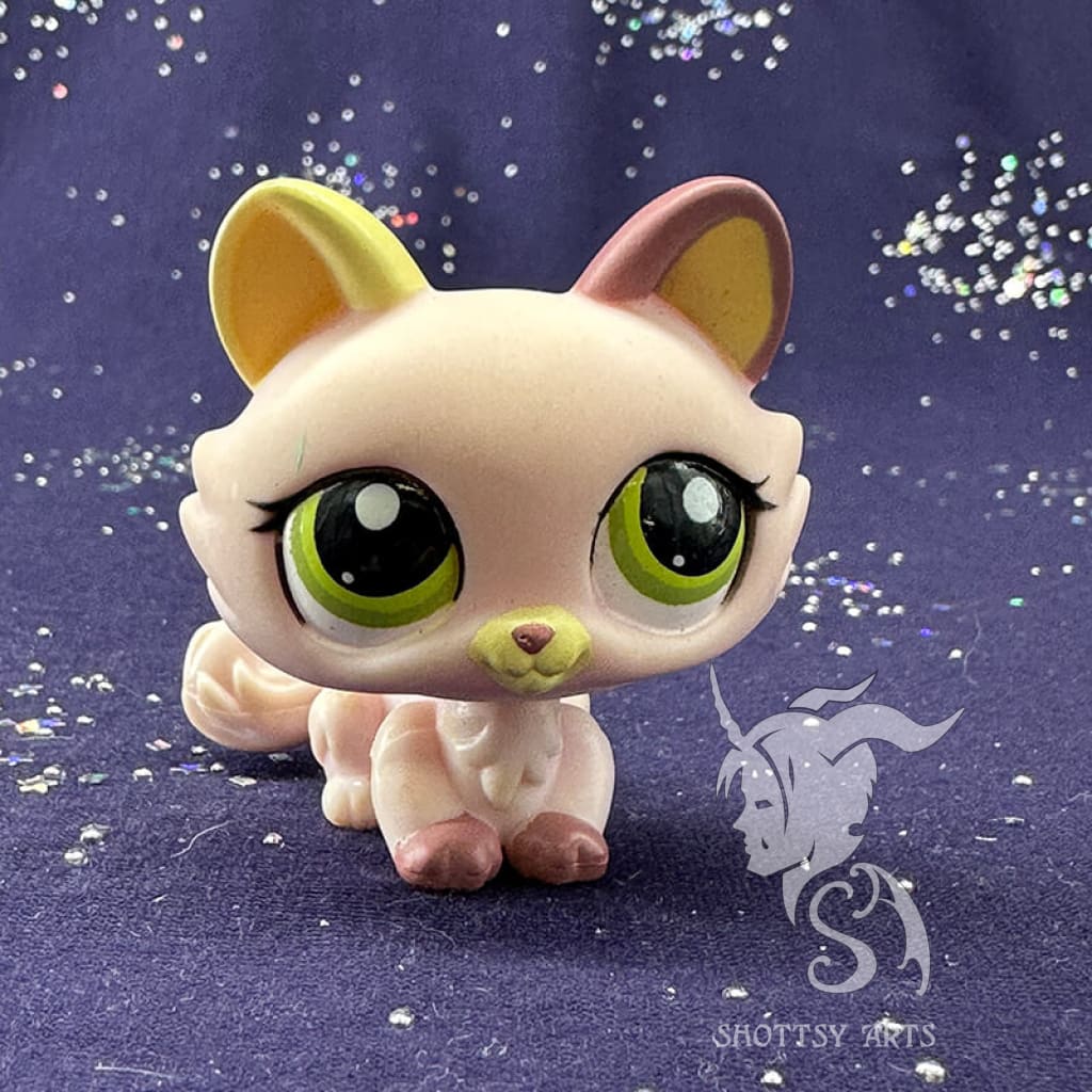Premium Kitten V7 Cat Toy - Interactive & Durable for Indoor Play - Perfect for Kittens & Adult Cats - Fun Playtime & Exercise