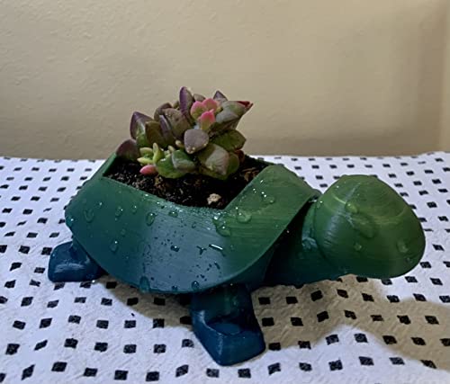 3D Printed Mini Turtle Planter for Succulents - Indoor Garden Decor, Dark Green Sea Turtle Baby Plant Pot | Perfect for Home, Office Desk & Gift Ideas