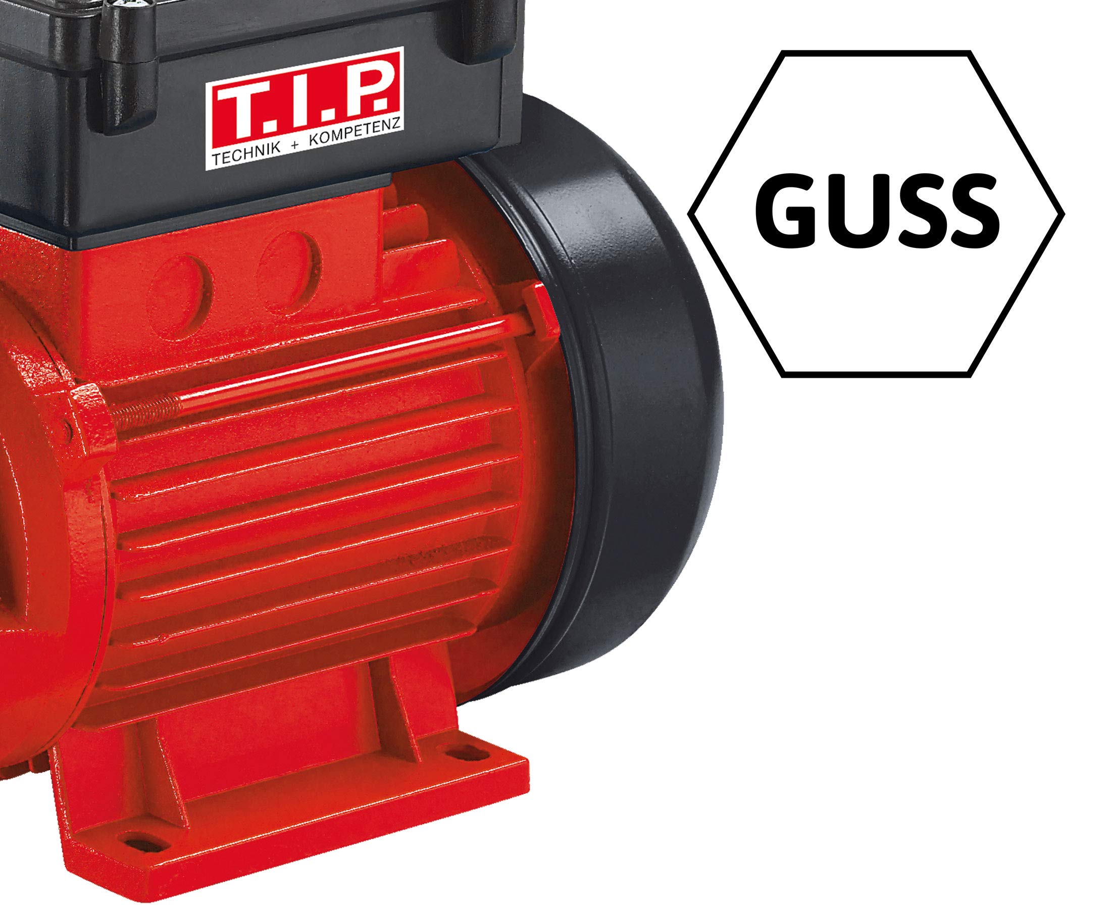 Garden Pump Peripheral TIP GPP 2100 M, 1 Piece, Red, 30183 - Ideal for Outdoor Watering, Irrigation, and Pool Maintenance