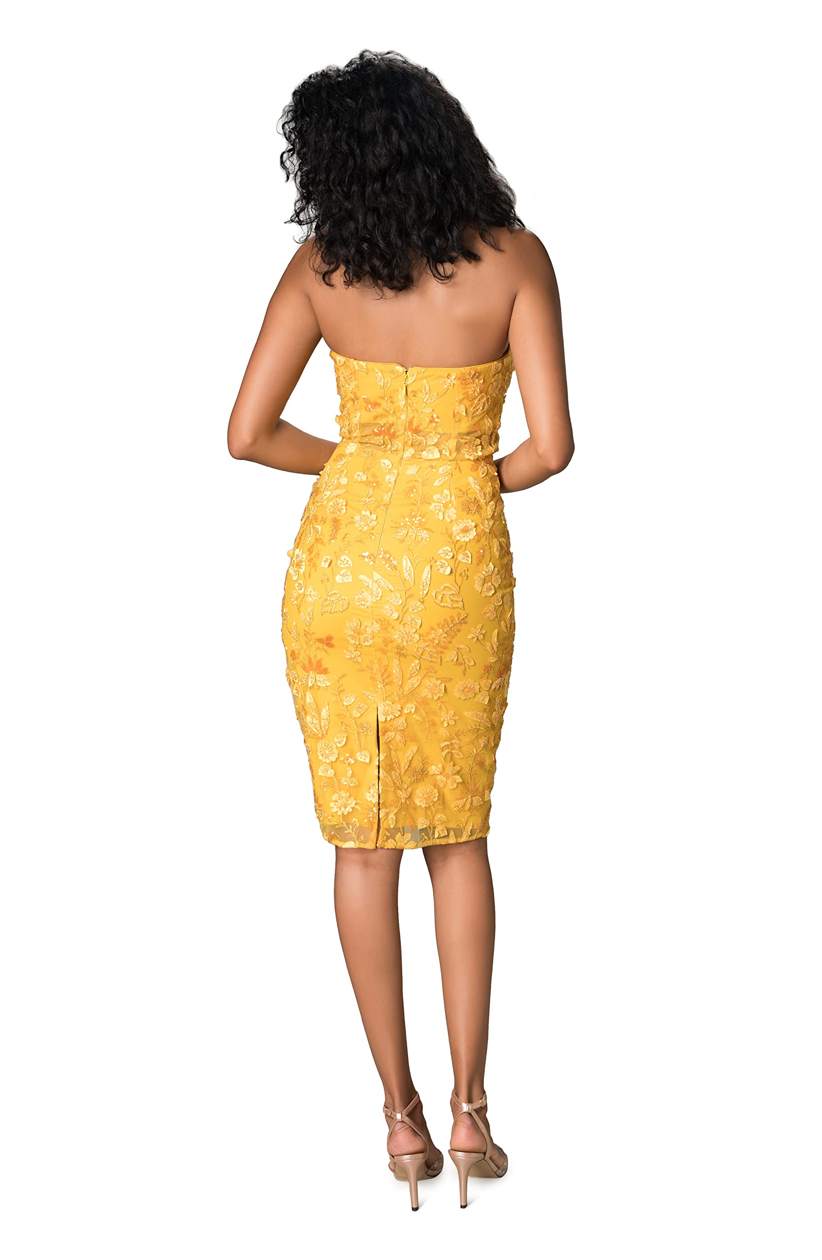 Dress the Population Women's Ynez Bodycon Midi Dress - Slim Fit Stretchy Party Cocktail Dress for Night Out, Date Night & Special Occasions
