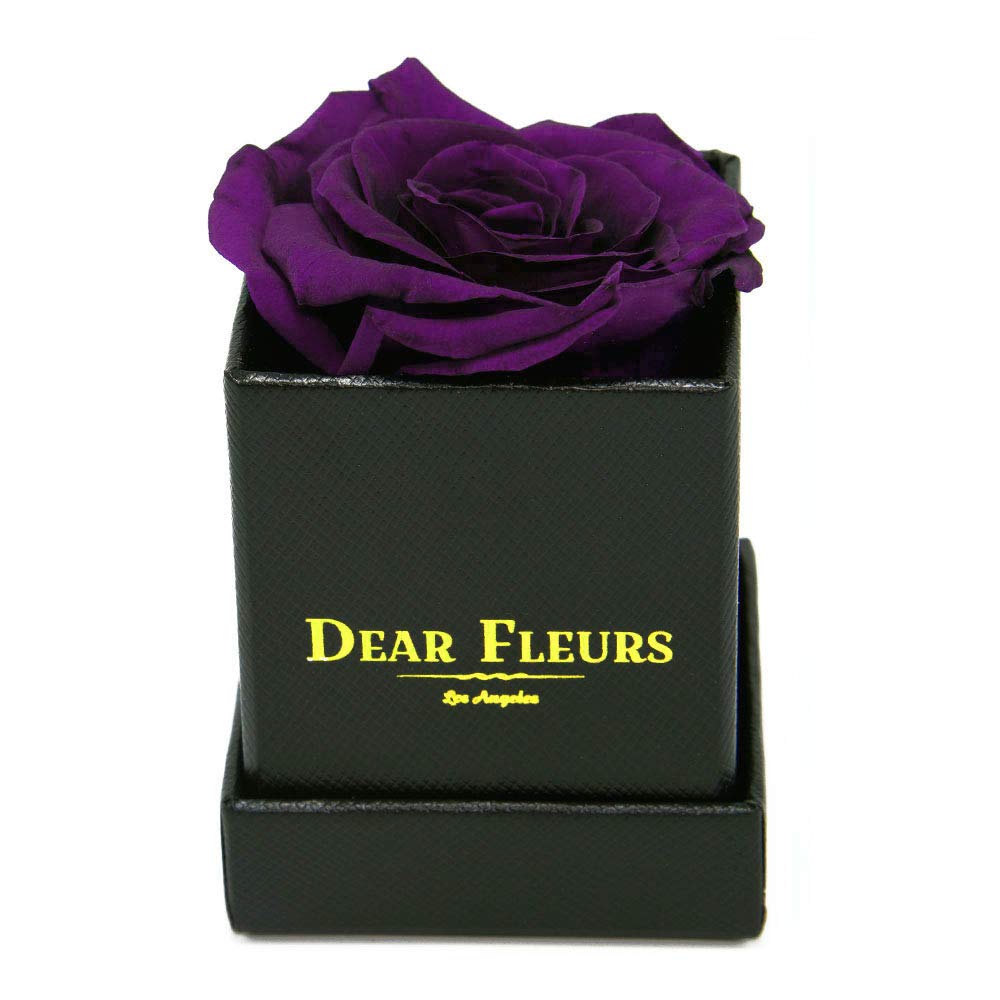 Petit Rose | Real Preserved Roses That Last 1 Year | Luxury Purple Rose in Black Leather Gift Box - Perfect for Anniversaries, Valentine's Day & Romantic Gifts