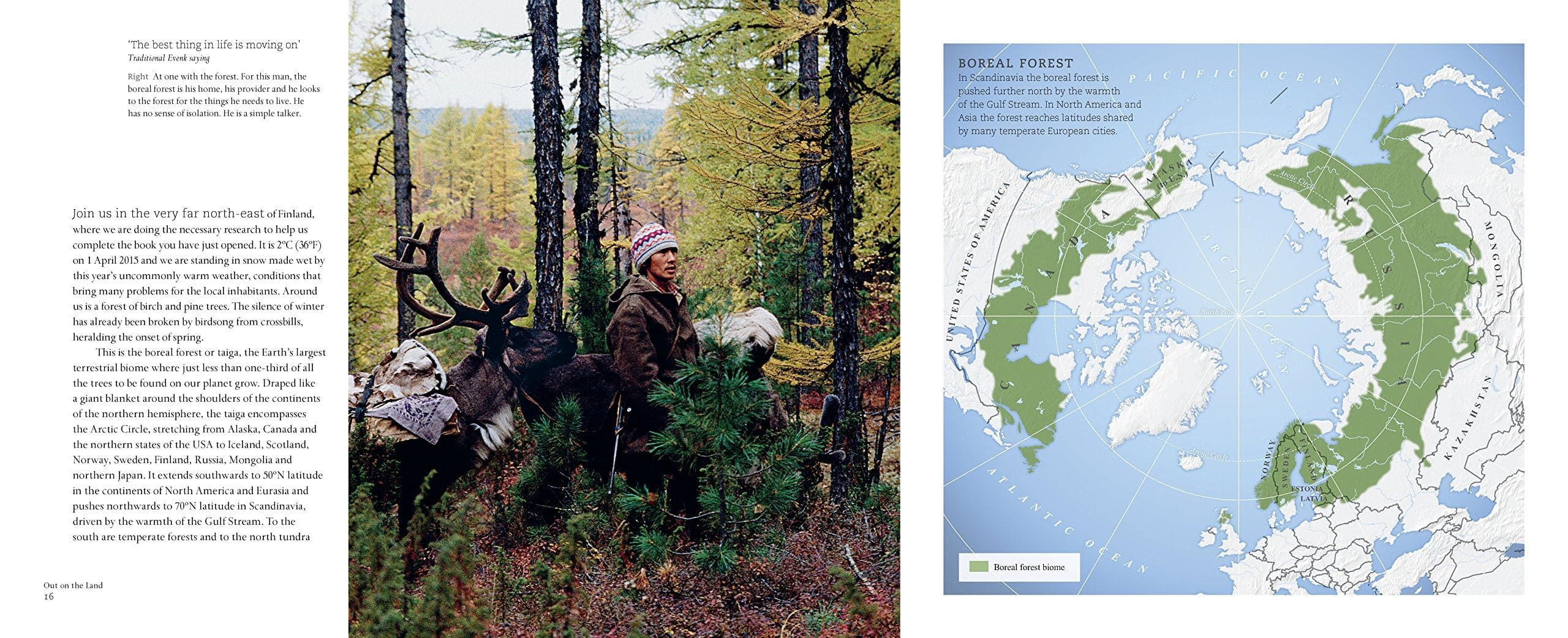 Out On The Land: Essential Bushcraft Survival Skills from the Northern Forest - Perfect for Camping, Hiking & Wilderness Adventures
