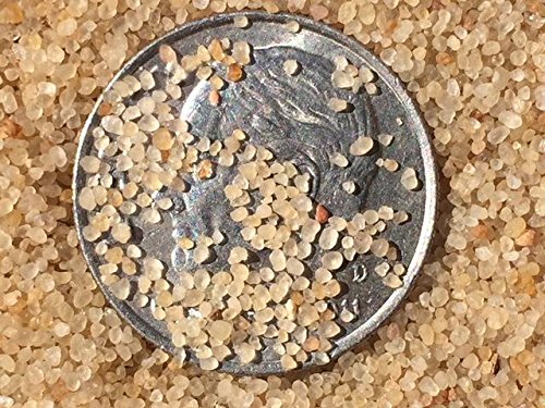 Premium Jurassic Sands Golden Cambrian Beach Sand - 47lb Natural Play Sand for Kids | Safe, Non-Toxic Sandbox & Sensory Play, Outdoor & Indoor Use