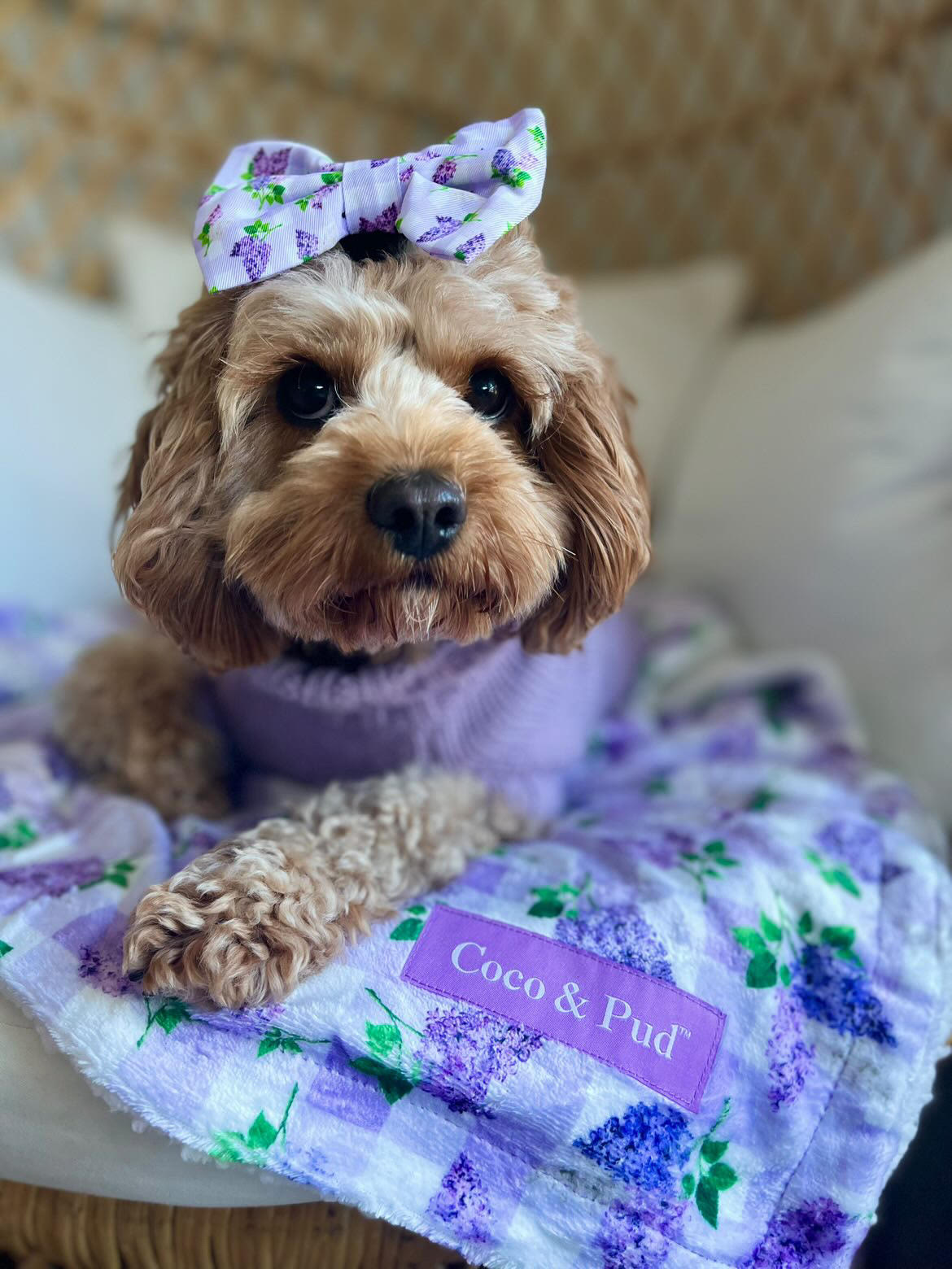 Luxury Gingham Lilac Throw Blanket - Soft & Cozy Plaid Blanket for Bed, Couch, Sofa - Perfect for Home Decor, Gifts, and Relaxation - Coco & Pud