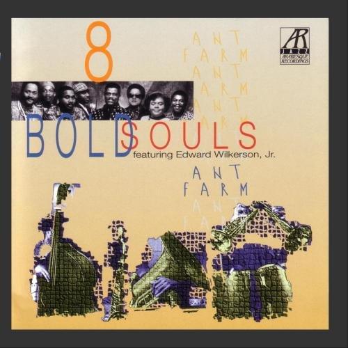Ant Farm Kit - 8 Bold Souls by Edward Wilkerson Jr. | Educational Science Toy for Kids, Classroom & Home Learning | Observe Live Ant Colonies