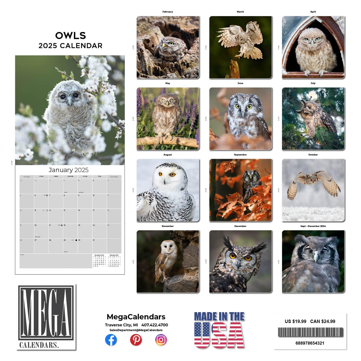 2024-2025 Owls & Wildlife Wall Calendar - 12
