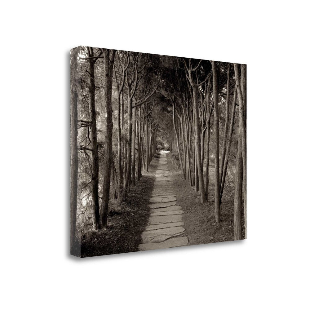 Alan Blaustein 75 Garden Bench Giclee Print on Gallery Wrap Canvas - Perfect for Home Decor, Living Room Wall Art & Office Decorations