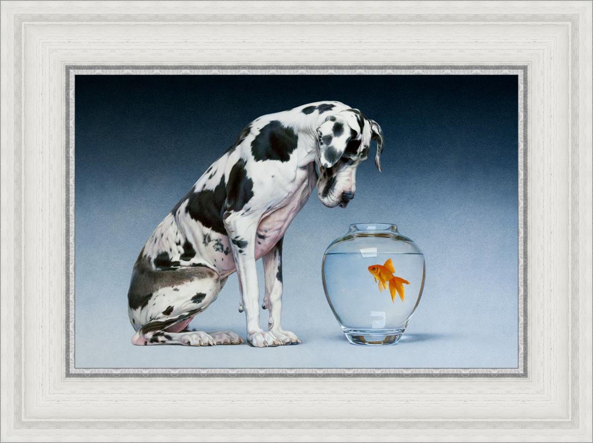 Dane And Fish By Chris Young - Premium Fishing Gear & Accessories for Outdoor Enthusiasts | Perfect for Freshwater & Saltwater Fishing Adventures