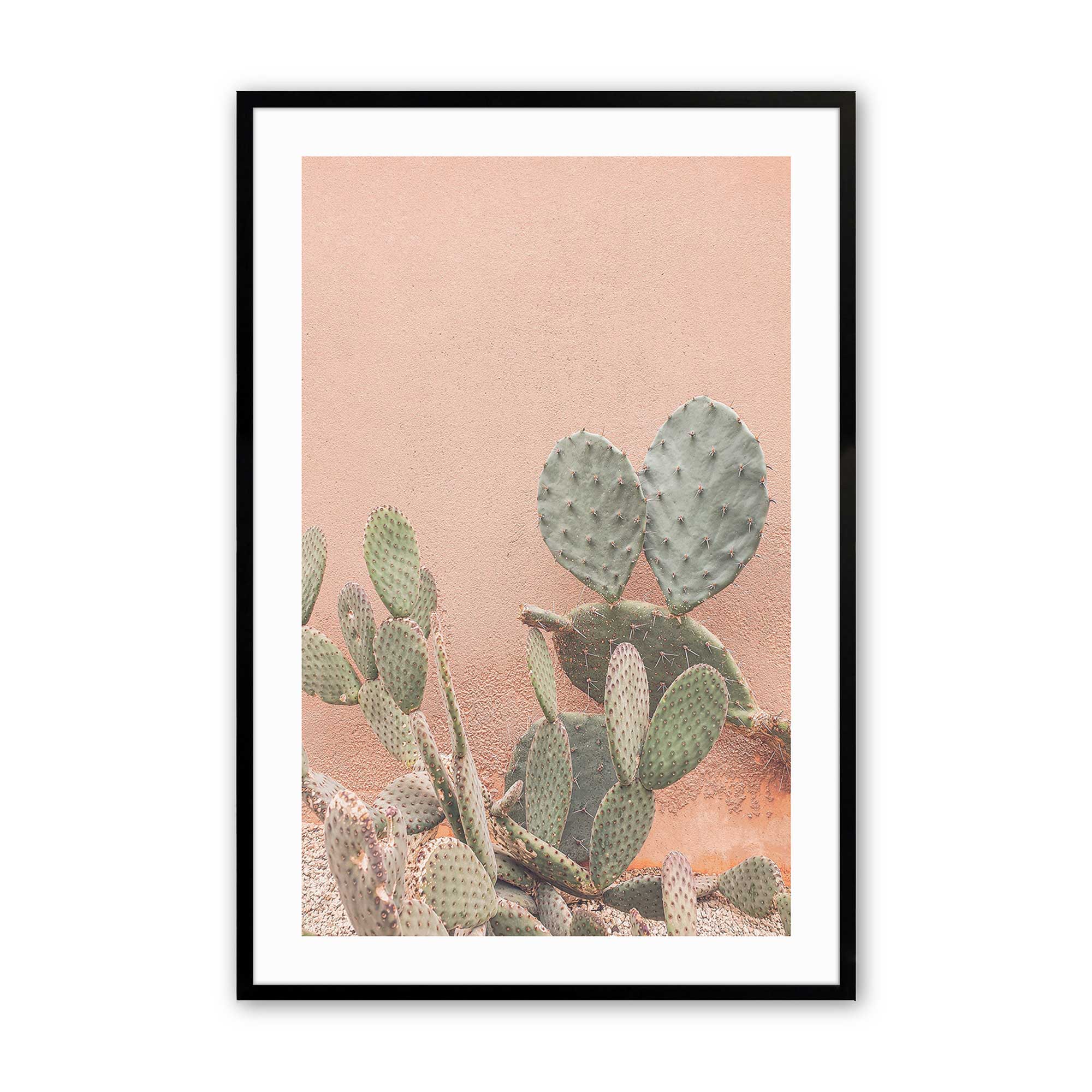 Desert Flora Print - Stunning Cactus & Succulent Design for Home Decor, Fashion & Gifts | Perfect for Wall Art, Clothing & Eco-Friendly Style