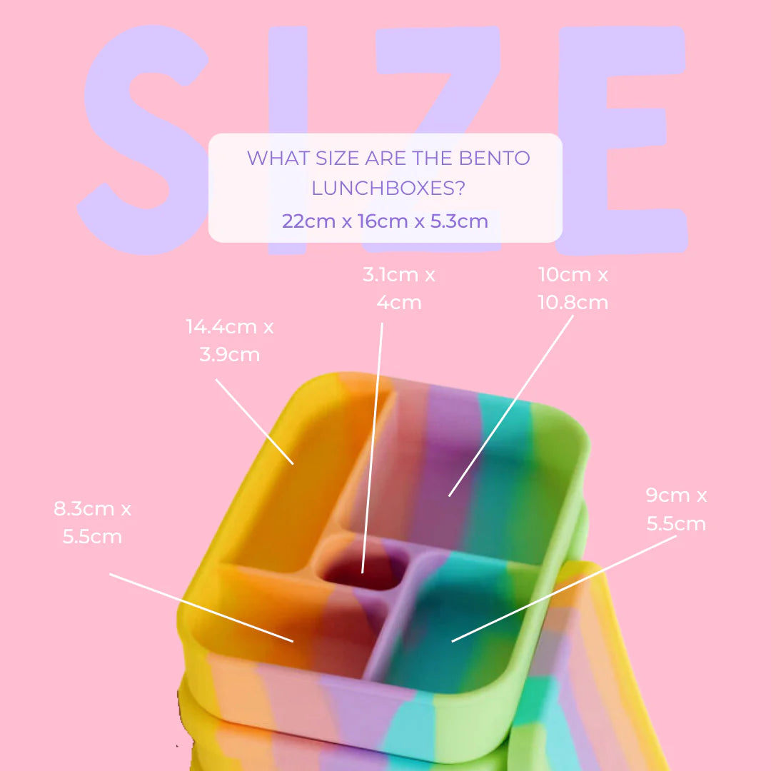 Eco-Friendly Silicone Lunch Box by The Zero Waste People | Reusable, Leak-Proof & BPA-Free Food Container | Perfect for Meal Prep, School Lunches & Picnics | FairyFloss Collection
