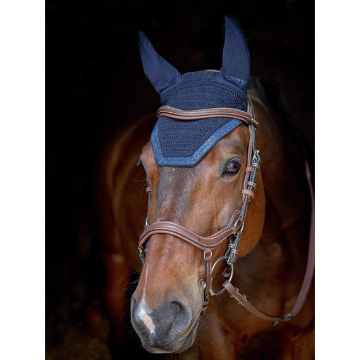 Jump'in Glitter Fly Veils for Horses - Sparkling UV Protection Mesh with Adjustable Fit - Perfect for Equestrian Shows, Training & Riding