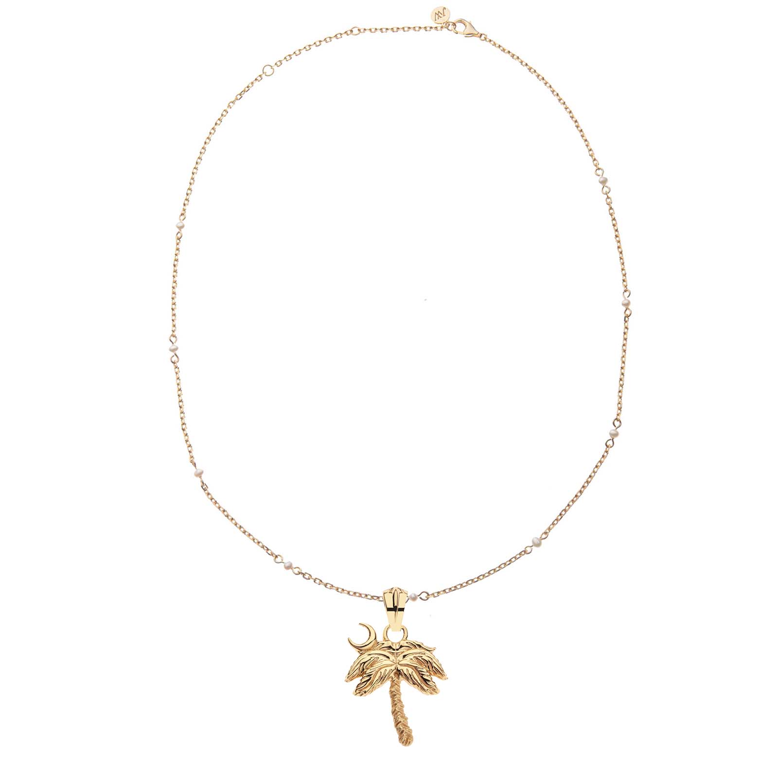 Jane Win CHARLESTON Palmetto Tree Charm Pendant Necklace - Sterling Silver Jewelry for Women, Southern Style Gift for Her - Perfect for Beach Vacations, Southern Weddings & Everyday Wear