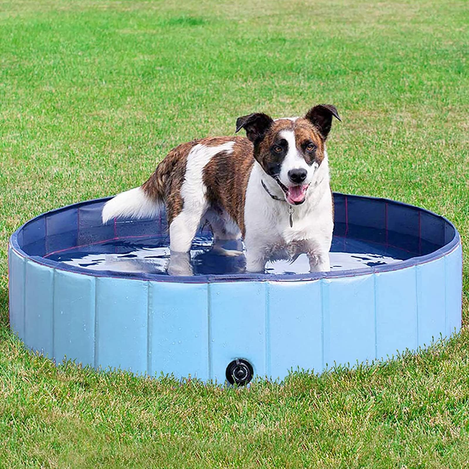 GBNIJ Foldable Pet Swimming Pool - Portable Dog Pool for Small & Large Dogs - Outdoor & Indoor Use for Bathing, Playtime, and Cooling Off