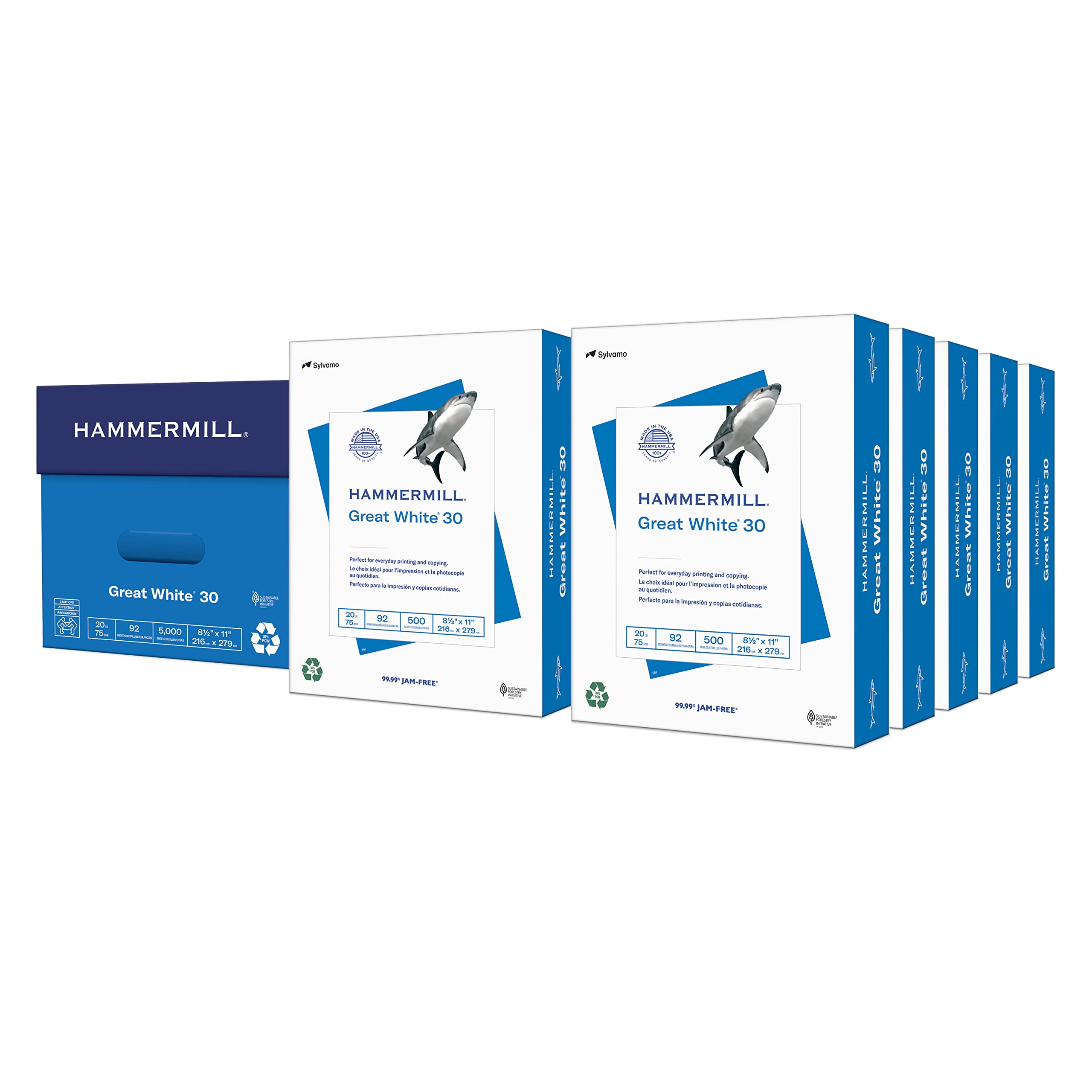 Hammermill Great White 30% Recycled Printer Paper - 8.5 x 11, 10 Reams (5,000 Sheets) - 92 Bright, Made in USA - Ideal for Home Office, School & Business Printing