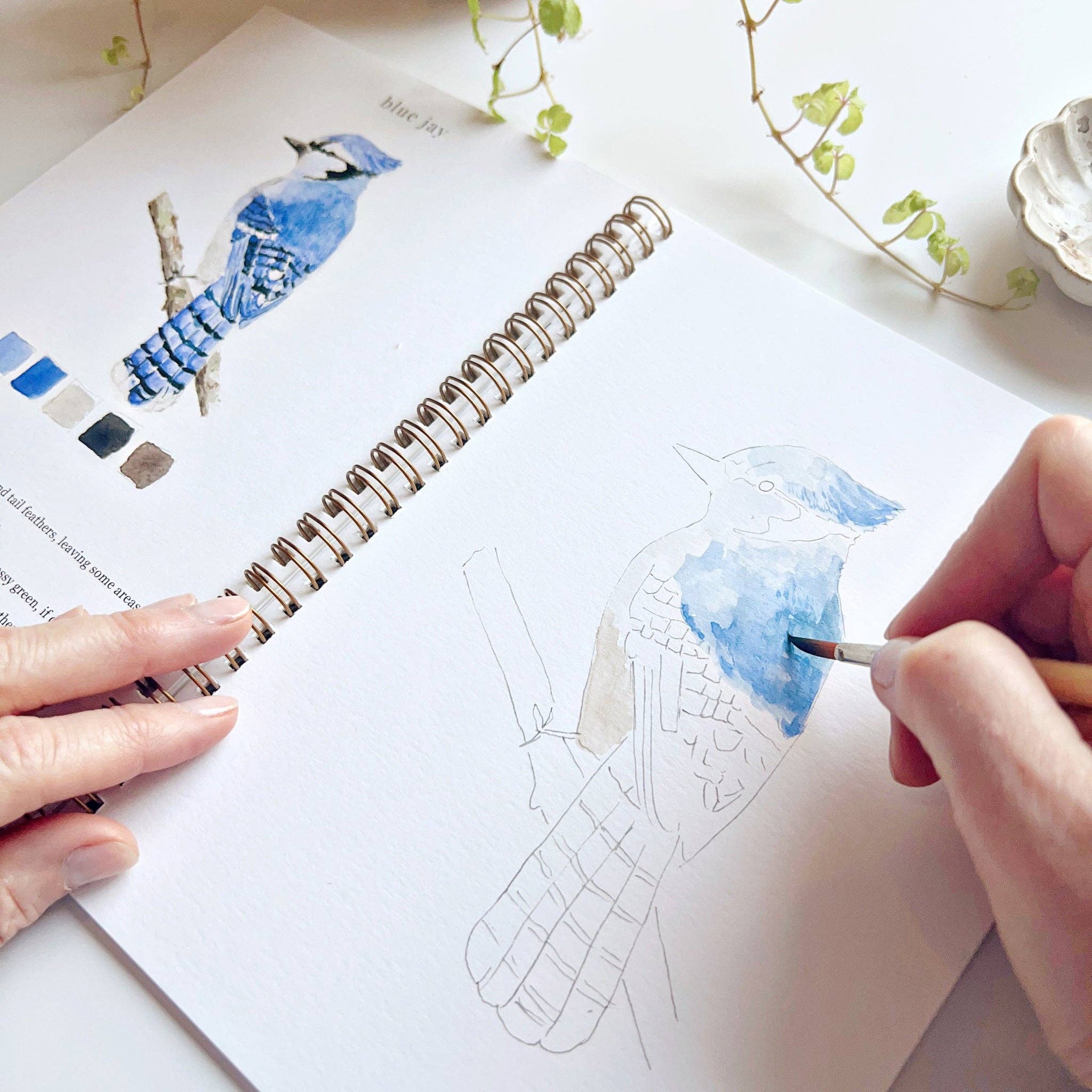 Birds Watercolor Workbook - Step-by-Step Guide for Beginners & Artists - Perfect for Nature Lovers & Art Therapy