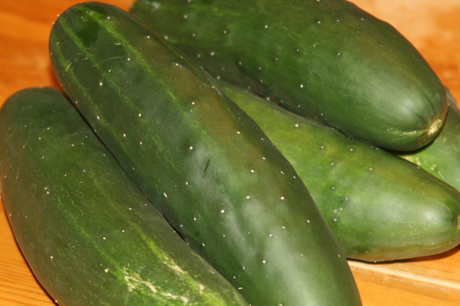 Organic Straight Eight Cucumber Seeds - Heirloom Variety (100 Seeds) for Slicing, Salads, Snacks & Fresh Eating - Perfect for Home Gardens, Farmers Markets & Healthy Lifestyles