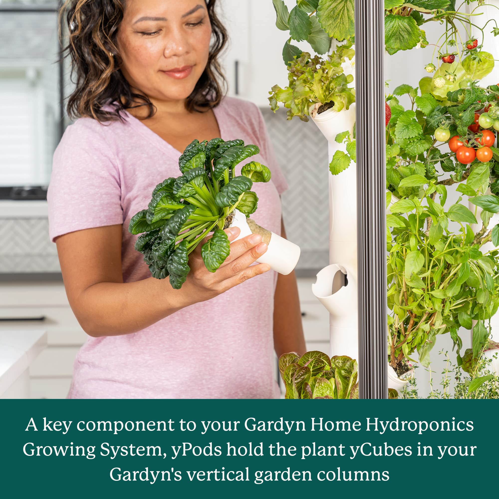 Gardyn yPods - 10 Pack ABS Plastic Hydroponic Pods for Vertical Indoor Garden Systems | Compatible with Gardyn Home Hydroponics Growing Kits & Tower Gardens | Perfect for Growing Herbs, Vegetables & Flowers Indoors