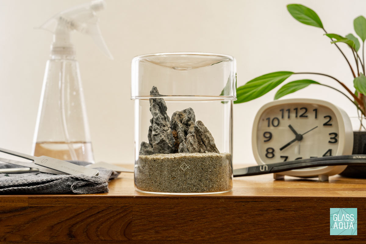 Miniature Terrarium Kit for Home Decor - DIY Glass Garden with Succulents & Air Plants - Perfect for Office Desk, Living Room, or Gift Giving