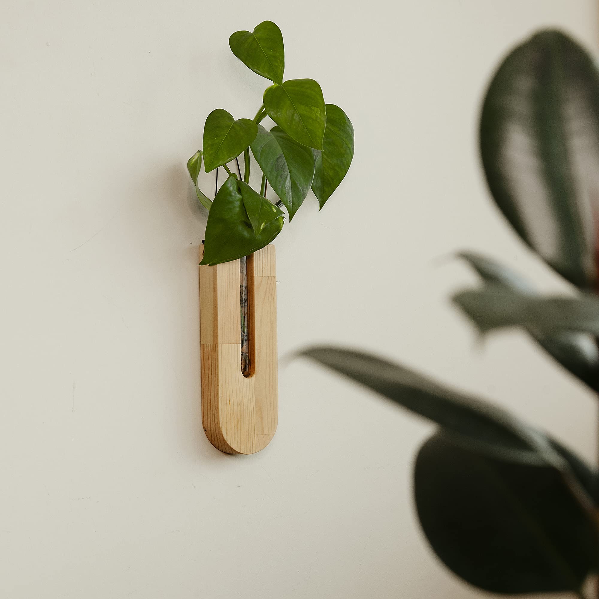 Hanging Planters for Indoor Plants - Self Watering Planters for Succulents & Houseplants - Boho Farmhouse Wall Decor - Perfect for Living Room, Bedroom, and Office Decor