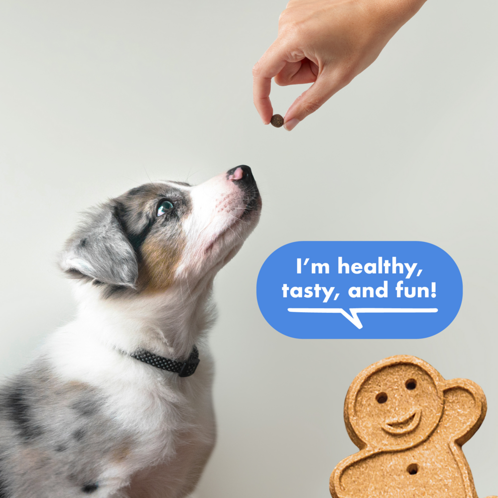 Buddy Biscuits Trainers Training Bites - Soft & Chewy Bacon Flavored Dog Treats for Small & Large Dogs - Perfect for Obedience Training, Rewards & Positive Reinforcement
