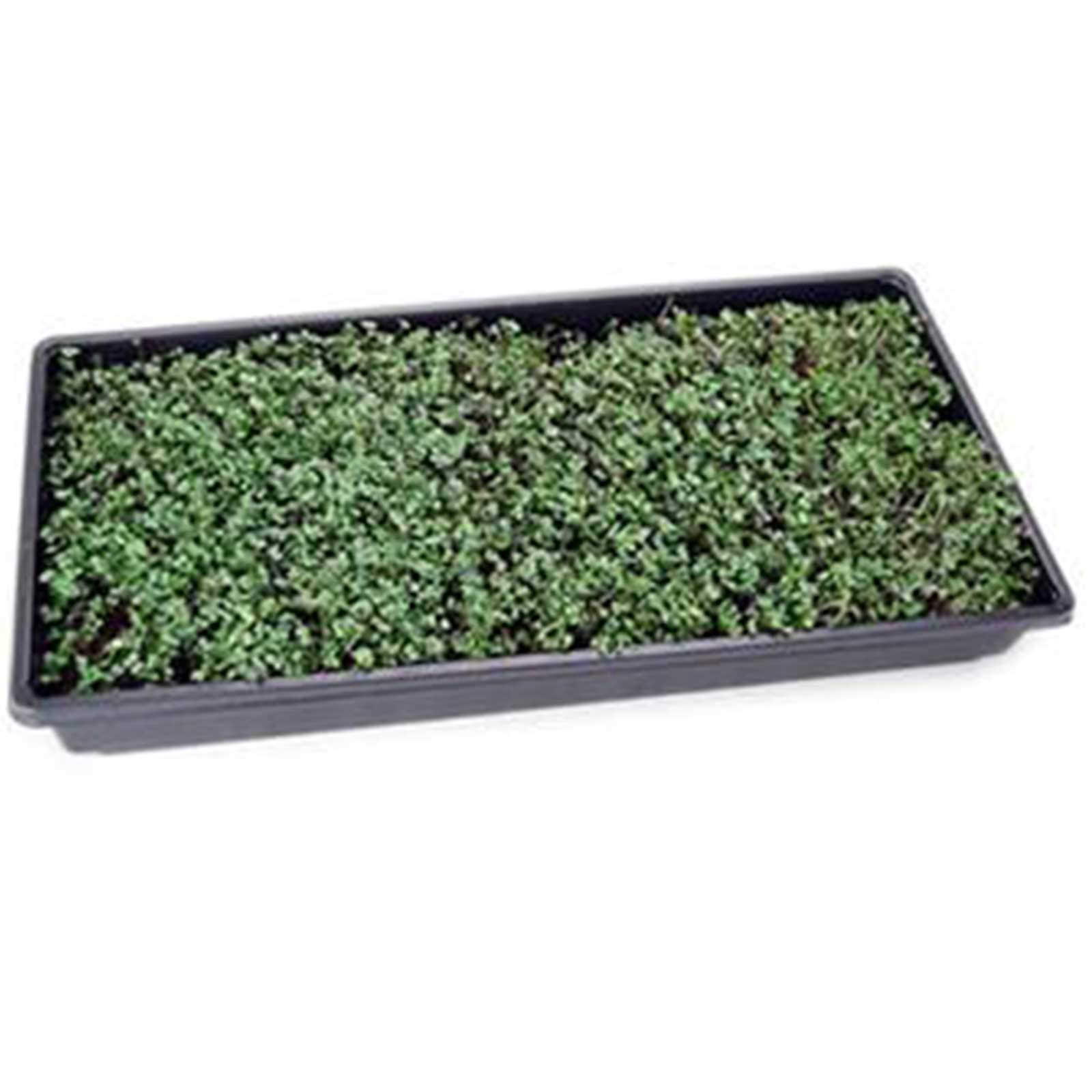 Organic Basic Salad Mix Microgreens Seeds - 25 Lb Resealable Bulk Bag for Indoor Gardening, Hydroponics & Homegrown Microgreens | Perfect for Salads, Smoothies & Healthy Eating