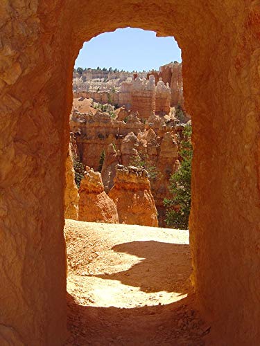 20x30 Inch Laminated Bryce Canyon Hoodoo Landscape Poster - Vibrant Colors & High-Quality Print - Perfect for Home Decor, Office Wall Art & Gift Giving