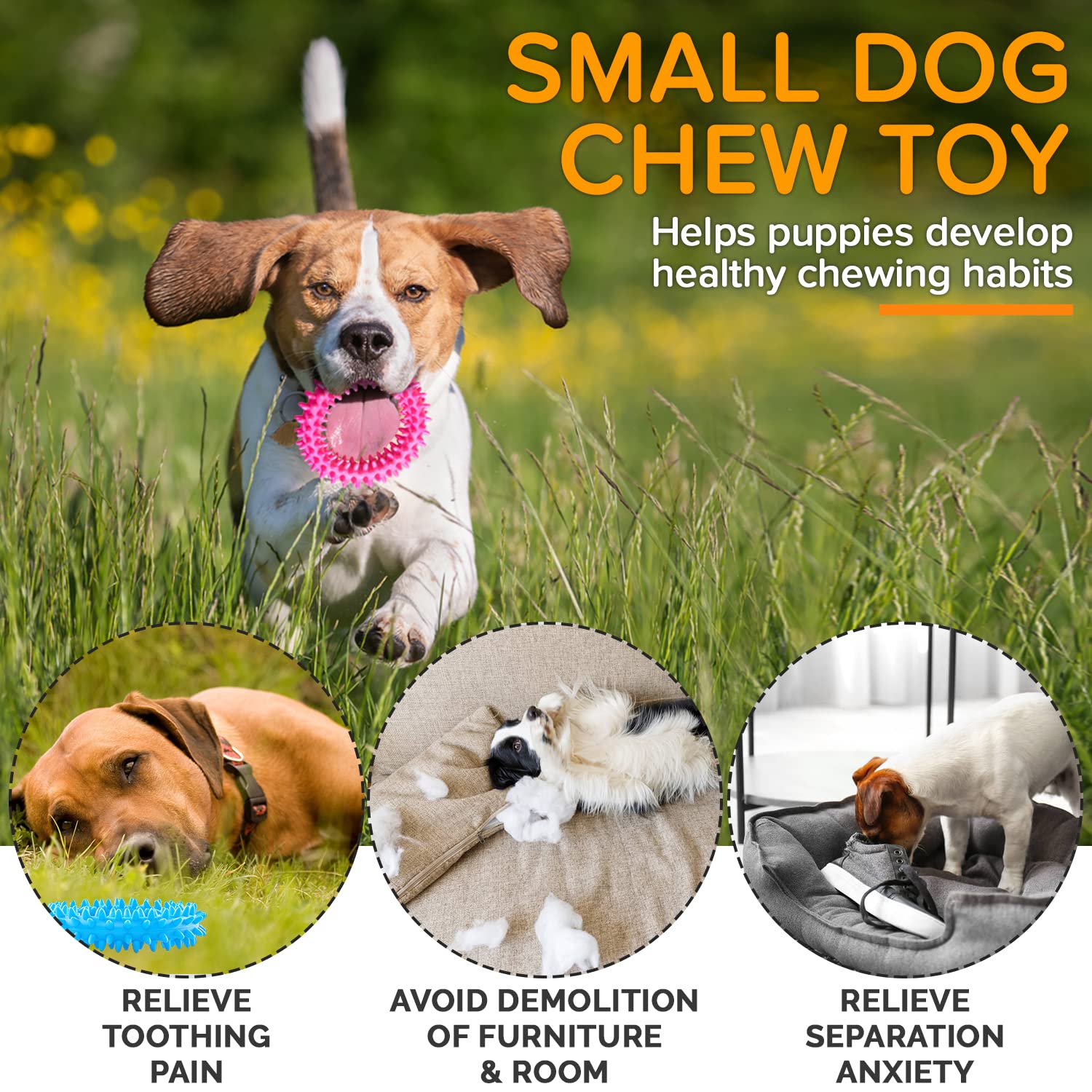 Hurray 3 Pack Puppy Teething Chew Toys - Relieve Itching, Clean Teeth, Durable Rubber Dental Chew for Small Dogs & Puppies Up to 15 lbs - Perfect for Teething Relief and Indoor Playtime