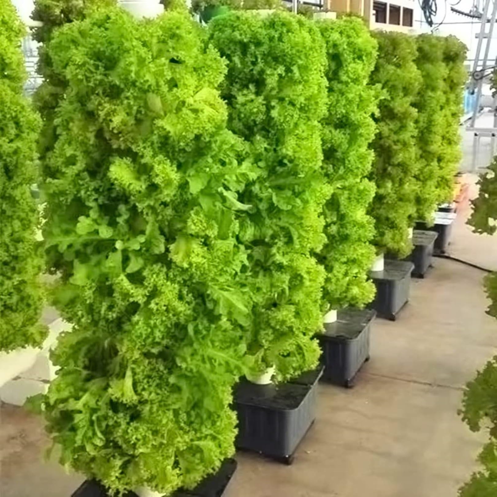 DIY Hydroponic Growing System for Balcony - Detachable PP Colonization Cups, Vertical Tower Planters for Home Garden, Farm & Greenhouse (30 Holes) - Perfect for Urban Gardening, Indoor Plants & Small Space Farming