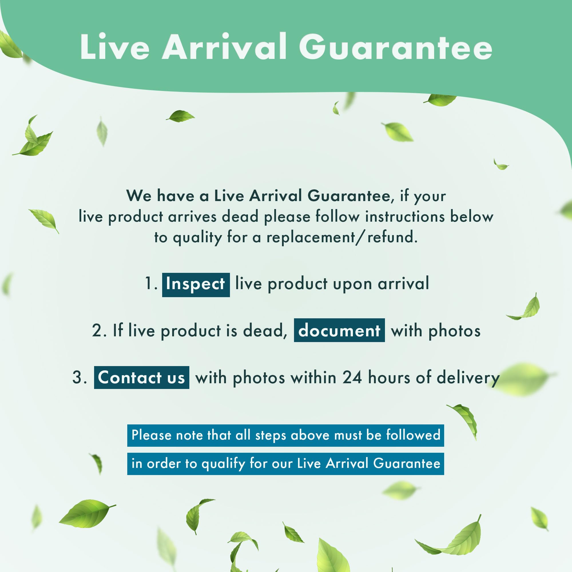 Anubias Barteri Live Aquarium Plants - Potted Freshwater Aquatic Plants for Fish Tanks, Terrariums & Paludariums - Low Light & Beginner Friendly Mother Plant - Perfect for Aquascaping, Shrimp Tanks & Betta Fish Habitats