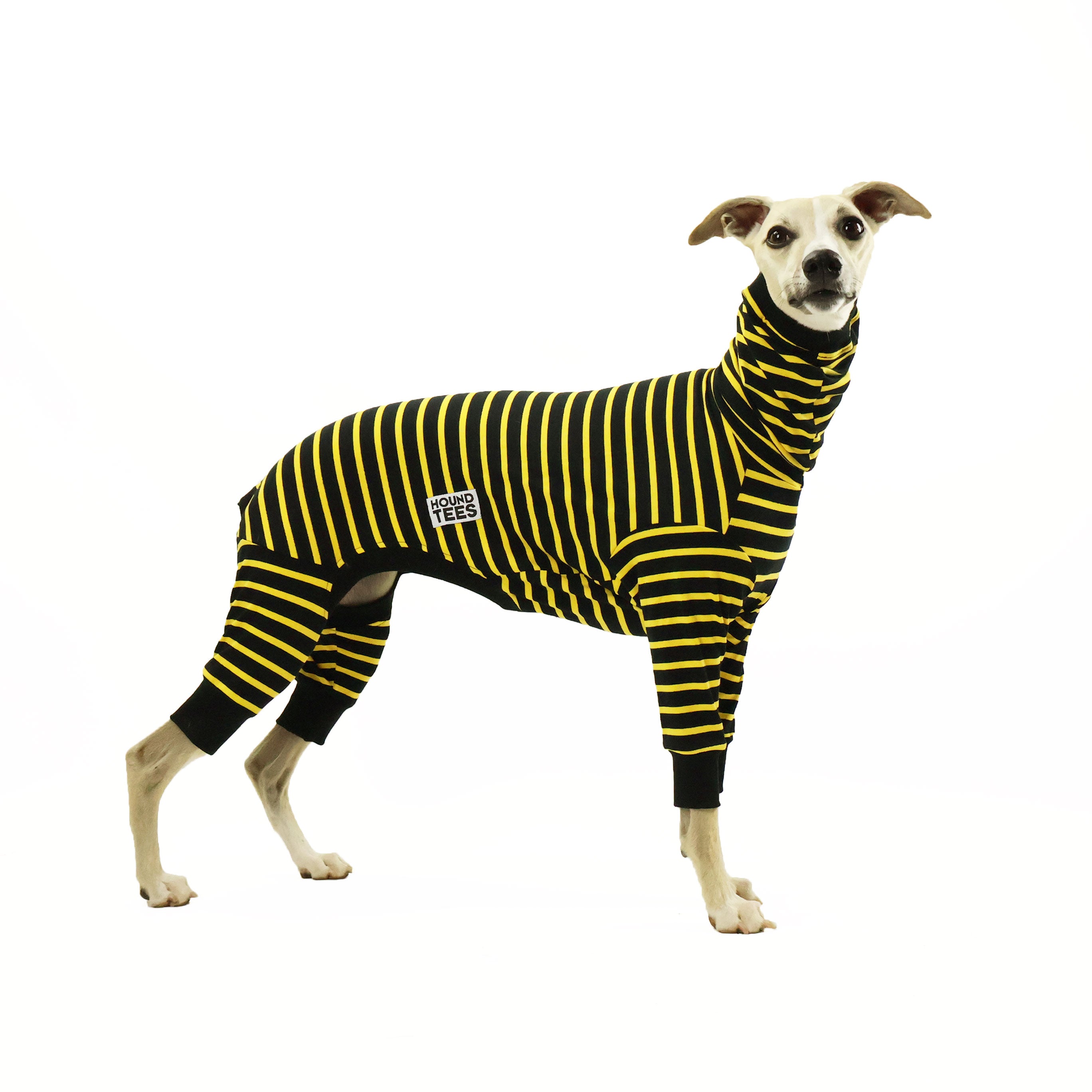 Bumble Whippet Long Johns Hound Tee - Trendy Dog Lover T-Shirt for Men & Women - Perfect for Casual Wear, Pet Owner Gifts & Animal Lover Outfits