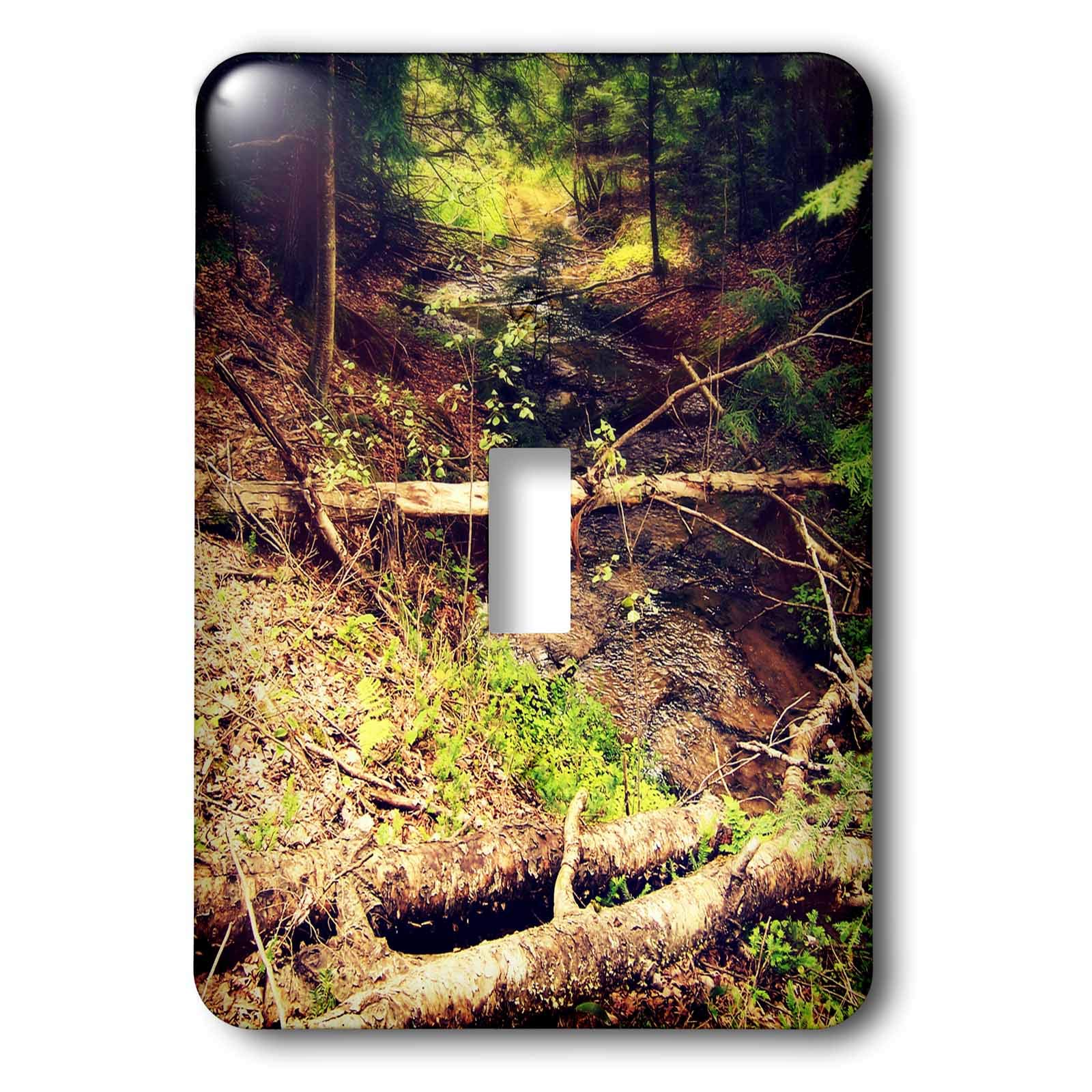 3dRose LLC lsp_21915_1 Northern Michigan Forest & Creek Photography with Moss Trees - Single Toggle Switch - Perfect for Home Decor, Office Wall Art & Nature Lovers Gifts