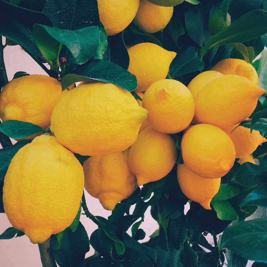 Organic Lemon Essential Oil 15ml - USDA Certified, Pure & Natural for Aromatherapy, Diffusers & DIY Skincare